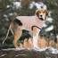 Pink - GF Pet ElastoFit Urban Dog Parka  - 3XL