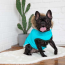 Aqua - GF Pet  Winter Sailor Parka  - Small