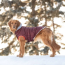 Burgundy - GF Pet  Winter Sailor Parka  - Medium