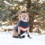 Navy - GF Pet  Winter Sailor Parka  - Small