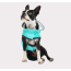 Neon Aqua - GF Pet Reversible Raincoat  - 2XS