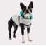 Neon Aqua - GF Pet Reversible Raincoat  - XS