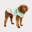 Neon Yellow - GF Pet Reversible Raincoat  - 3XL