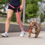 Neon Pink - GF Pet Reflective Leash - EEZY-6 - Medium/Large