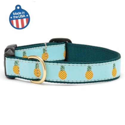 Pineapple - Pineapple Collar or Leash - 4\' Narrow