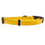 Yellow - Cutie Ties Fun Design Dog Collar - Medium