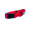 Red - Cutie Ties Fun Design Dog Collar - Medium