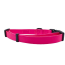 Pink - Cutie Ties Fun Design Dog Collar - Medium