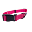 Pink - Cutie Ties Fun Design Dog Collar - Small