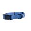 Blue - Cutie Ties Fun Design Dog Collar - Medium