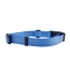 Blue - Cutie Ties Fun Design Dog Collar - Medium