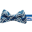 Blue - Cutie Ties Fun Design Dog Collar - Medium