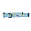 Rubber Duckies - Cutie Ties Fun Design Dog Collar - Medium