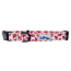 Lobster White - Cutie Ties Fun Design Dog Collar - Large