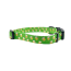 Green Beer - Cutie Ties Fun Design Dog Collar - Small