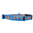 Pizza Crust - Cutie Ties Fun Design Dog Collar - Medium