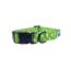 Green Beer - Cutie Ties Fun Design Dog Collar - Medium