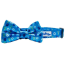 Hanukkah Blue Dreidel - Cutie Ties Fun Design Dog Collar - Small