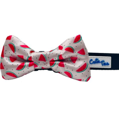 Watermelon - Cutie Ties Dog Bow Tie - One Size