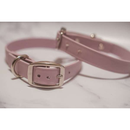 Pink - Biothane Buckle Dog Collar - Medium/Large 14-16 inches