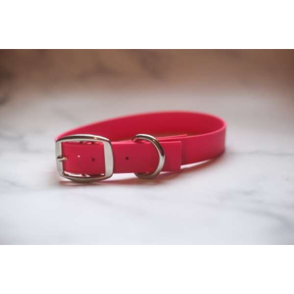 Red - Biothane Buckle Dog Collar - Medium 13-15 inches