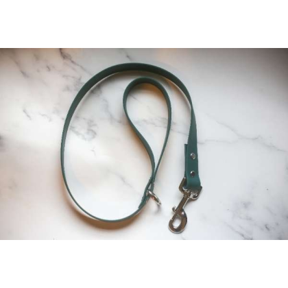 Teal - Biothane Leash - 6 feet