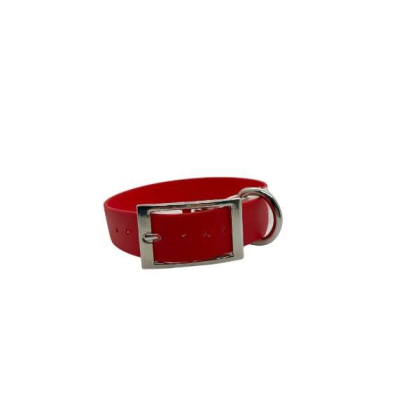 Holiday - Holiday Biothane Buckle Dog Collar - XSmall 10-12 inches