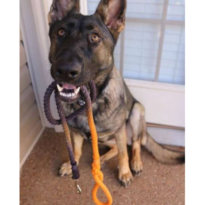 Black and Orange Ombre  - Rope Dog Leash - 5 ft