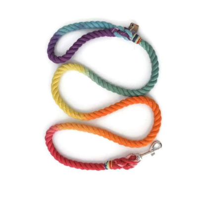 Rainbow  - Rope Dog Leash - 4 ft