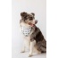 Classic Dots  - Buddy Dog Bandana - L