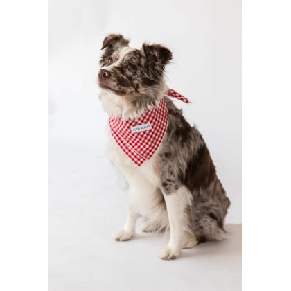 Red Gingham  - Buddy Dog Bandana - S