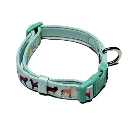 Seafoam - Dog Collar  - Small-adjustable