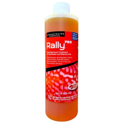 Rally PRO - 16 oz