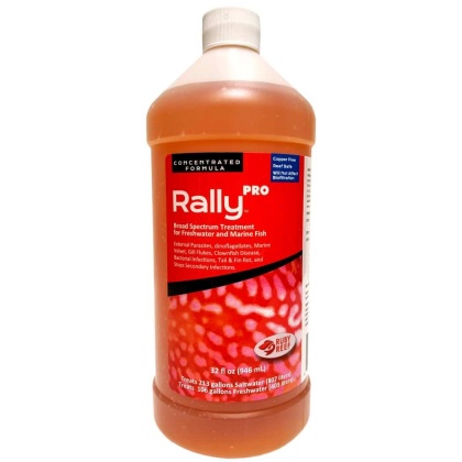 Rally PRO - 32 oz