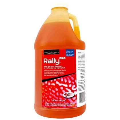 Rally PRO - 64 oz