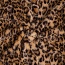 Leopard - Cashmere Dog Blanket - Large