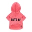 Neon Pink - The Everyday Hoodie - CUTE AF - Large