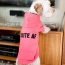 Neon Pink - The Everyday Hoodie - CUTE AF - Large