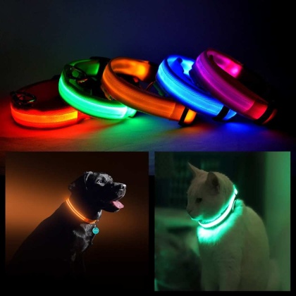 Orange - LED PET Safety Halo Style Collar - Large