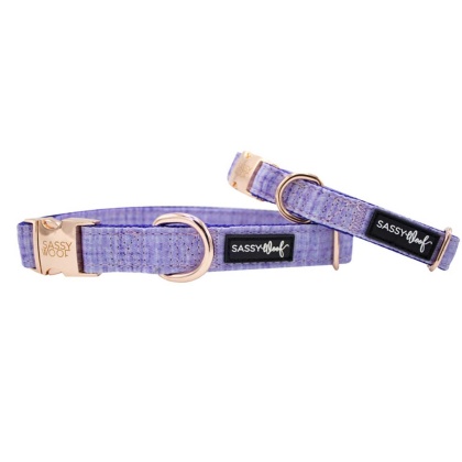 Purple - Collar  - Medium