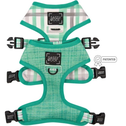 Teal - Reversible Harness  - Large