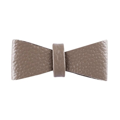 Desert Mint - Dog Bow Tie  - Large