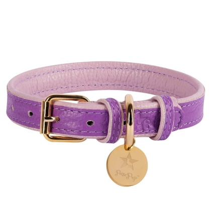 Lavish Lavender - Dog Collar  - Large