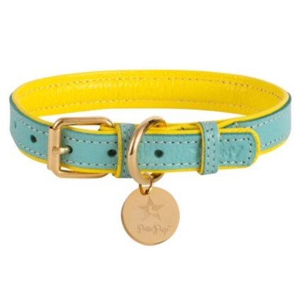 Sunshine Babe - Dog Collar  - Large