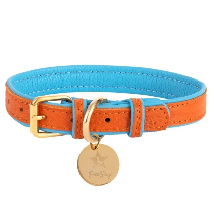 Vibrant Sunset - Dog Collar  - Small