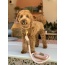 Bella Rose - Dog Leash