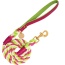 Candy Swirl - Dog Leash