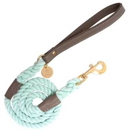 Desert Mint - Dog Leash