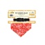 Red - Western Themed Pet Bandana Collars - Small