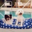 Anchors Away Pet Bed - L